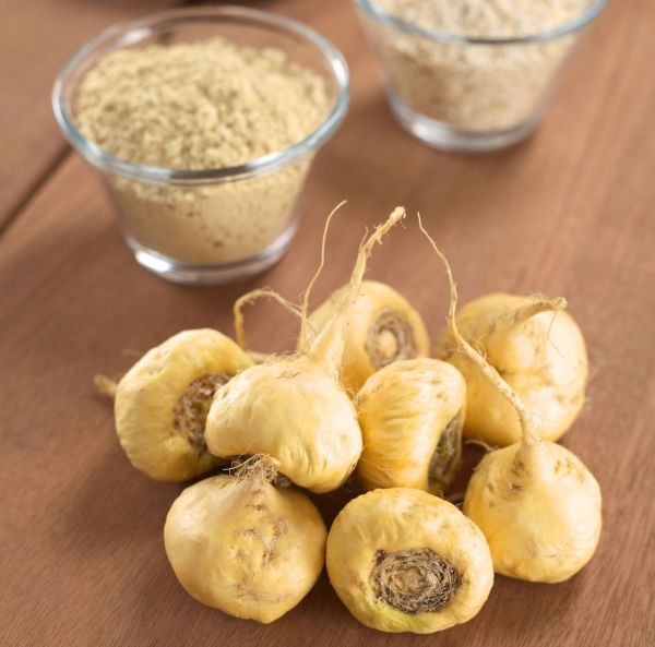 Peruansk ginseng